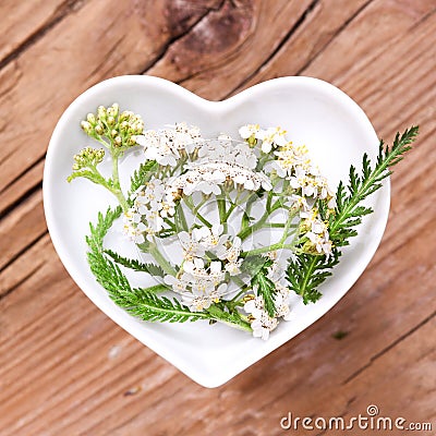 Homeopathy and cooking with silver yarrow Stock Photo
