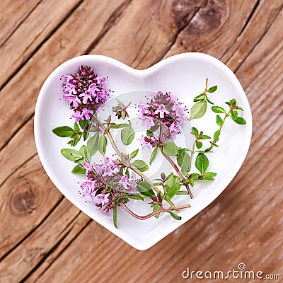 Homeopathy and cooking with thyme Stock Photo