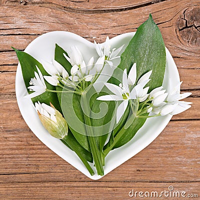 Homeopathy and cooking with wild garlic Stock Photo