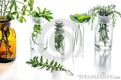 Homeopathy. Medicinal herbs in glass on white background Stock Photo