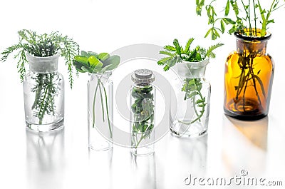 Homeopathy. Medicinal herbs in glass on white background Stock Photo