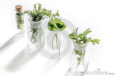 Homeopathy. Medicinal herbs in glass on white background Stock Photo