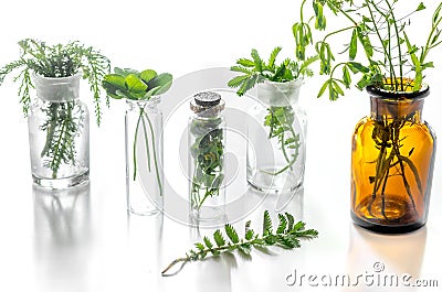 Homeopathy. Medicinal herbs in glass on white background Stock Photo