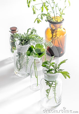 Homeopathy. Medicinal herbs in glass on white background Stock Photo