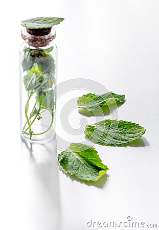 Homeopathy. Medicinal herbs in glass on white background Stock Photo