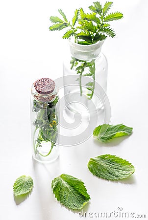 Homeopathy. Medicinal herbs in glass on white background Stock Photo