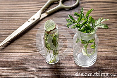 Homeopathy. Store up medicinal herbs. Herbs in glass on wooden table background Stock Photo