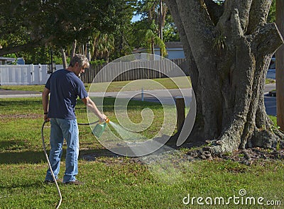 Homeowner man spraying weed killer on grass in his yard with hose attachment full of chemicals Stock Photo