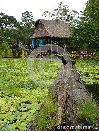 Homes in the amazon Stock Photo