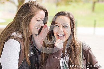 Homosexual Women Whispering Secrets Outside Stock Photo