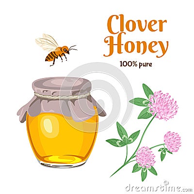 Clover Honey isolated on white background. Vector illustration of floral, herbal honey in glass jar, Vector Illustration