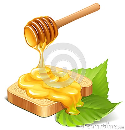 Honey Vector Illustration