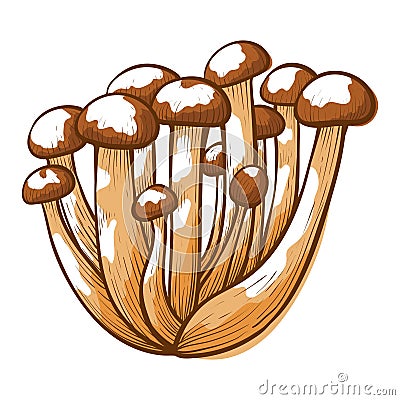 Honey agaric mushrooms icon, parasitic forest fungi Vector Illustration