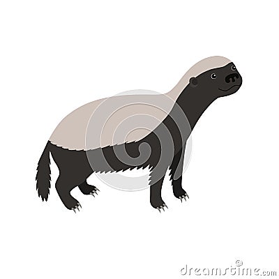 Honey badger isolated on white background Cartoon Illustration