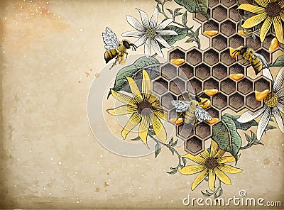 Honey bee and apiary Vector Illustration