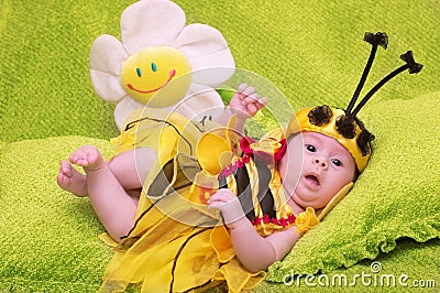 Honey Bee Baby Stock Photo