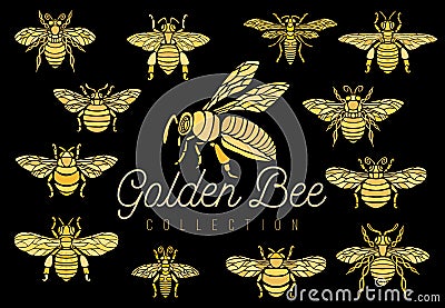 Honey bee bumblebees wasps set sketch style collection insert wi Cartoon Illustration