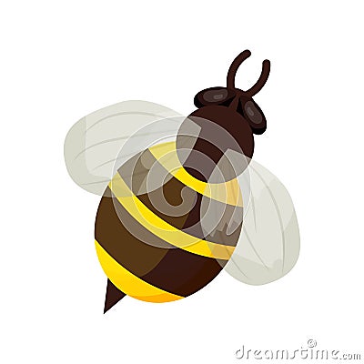 Honey bee in cartoon style isolated on white background. Detailed insect, bumble, bug with stripes. Cute clipart, decoration or Vector Illustration