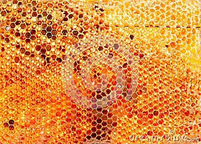 Honey Stock Photo