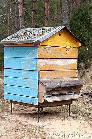 Honey bee hives in winter. Beekeeping. Stock Photo