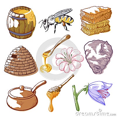 Honey and bee sketch Vector Illustration