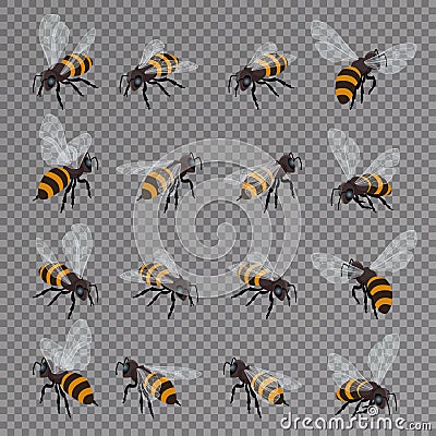 Honey bee vector set on a transparent background. Flat 3d vector isometric illustration. Honey natural healthy food Vector Illustration