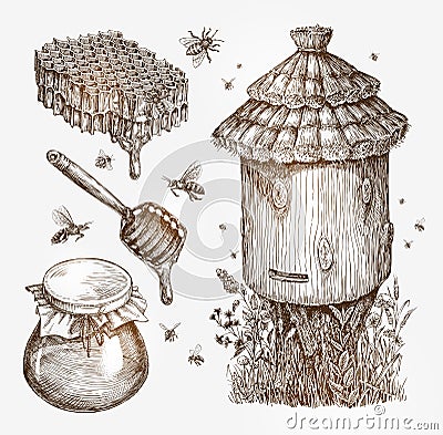 Honey, beekeeping, bees. Collection vintage sketch vector illustration Vector Illustration