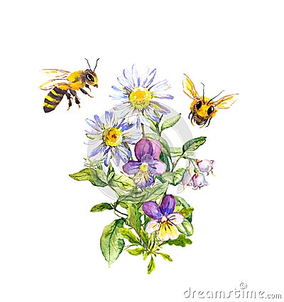 Honey bees with bouquet of summer flowers with chamomile. Watercolor illustration Stock Photo