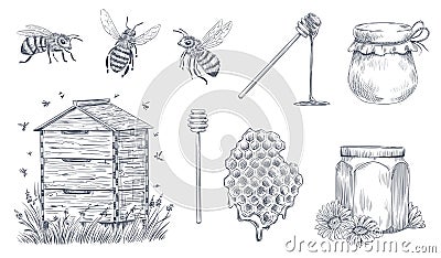 Honey bees engraving. Hand drawn beekeeping, vintage honey farm and honeyed bee pollen vector illustration set Vector Illustration