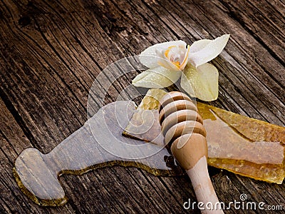 Honey with beeswax and flower Stock Photo