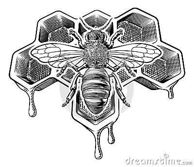 Honey Bumble Bee and Honeycomb Vintage Drawing Vector Illustration