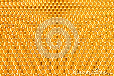 Honey cells Stock Photo