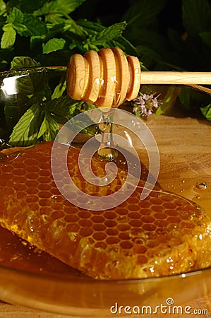Honey comb and Drizzler Stock Photo
