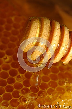 Honey comb and Drizzler Stock Photo