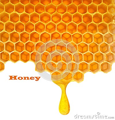 Honey in comb Stock Photo