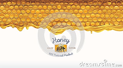 Honey comb with honey, and a symbolic simplified image of a bee. Vector Illustration