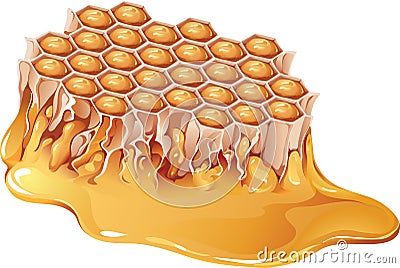 Honey comb Vector Illustration