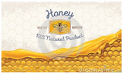 Honey combs with honey Vector Illustration