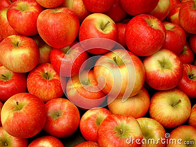 Honey Crisp Apples Stock Photo