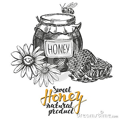 Honey. Design elements set. Detailed engraved. Vintage hand drawn vector illustration realistic sketch Vector Illustration