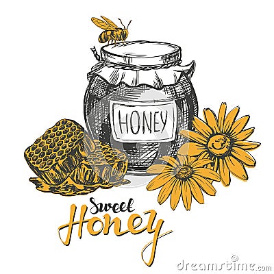 Honey. Design elements set. Detailed engraved. Vintage hand drawn vector illustration realistic sketch Vector Illustration