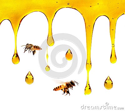 Honey dripping with honey dipper isolated on white background, honey liquid drop golden of honeycomb for banner graphic, honey. Stock Photo