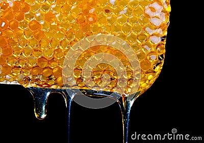 Honey dripping from a honey comb.JH Stock Photo