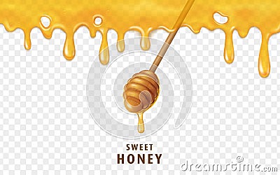 Honey dripping from top Vector Illustration