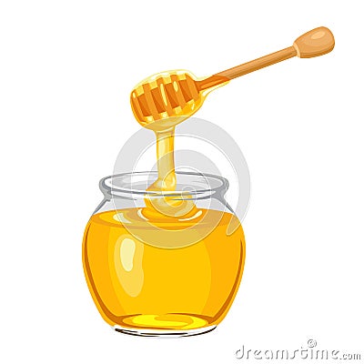 Honey dripping from wooden dipper. Glass jar full of pure honey isolated on white background. Vector illustration Vector Illustration