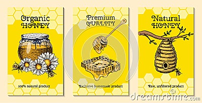 Honey waxing bee and beehive flyer. Poster organic honey and apiary, beehive and chamomile dessert nutrition vector Vector Illustration