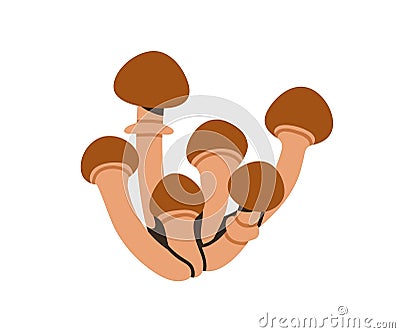 Honey fungus, Armillaria mushroom clumps, icon. Edible fungi cluster, group, bunch growing. Autumn fall forest natural Vector Illustration