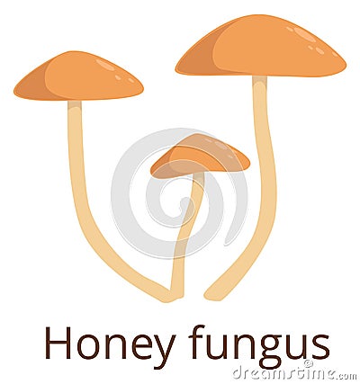 Honey fungus color icon. Growing forest mushroom Vector Illustration