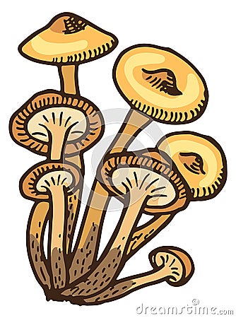 Honey fungus icon. Hand drawn forest mushrooms Vector Illustration