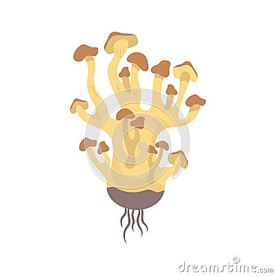 Honey Fungus Illustration Vector Illustration